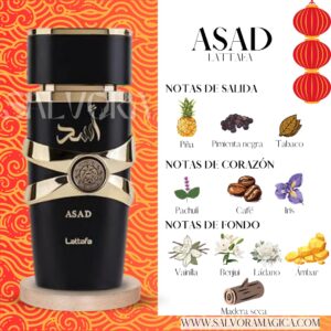 Notas ASAD