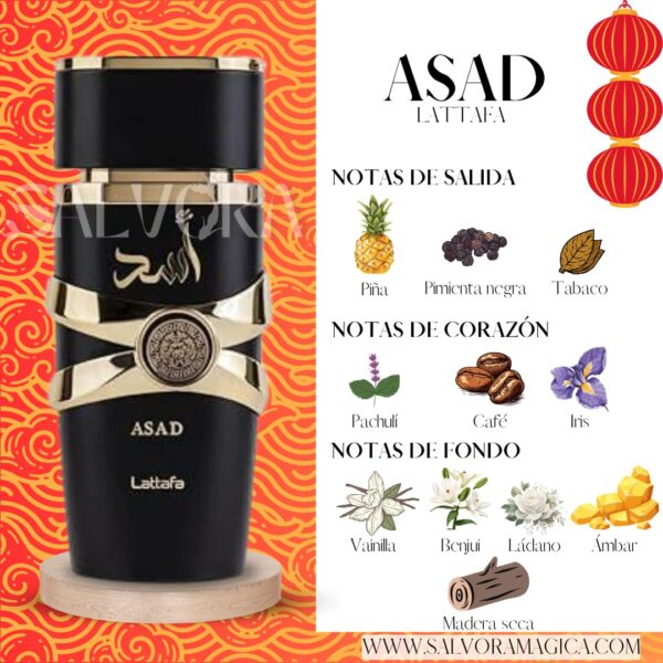 Notas ASAD