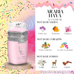 Notas Arabia Haya