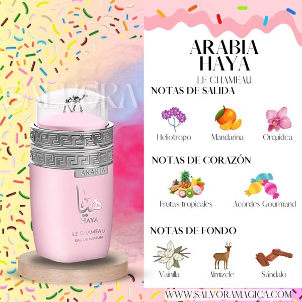 Notas Arabia Haya