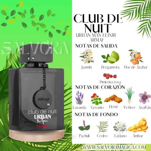 Notas Club de nuit urban man elixir